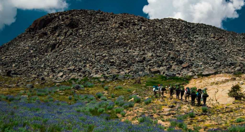 a group of backpacking students make their way toward a rocky hill amongst green shrubs and wildflowers
